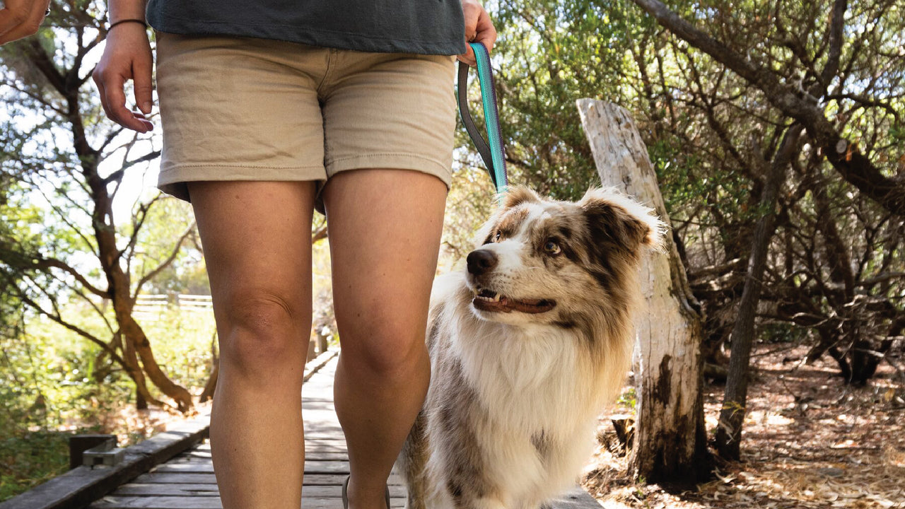 Front Range® Short Dog Leash Traffic Handle Ruffwear