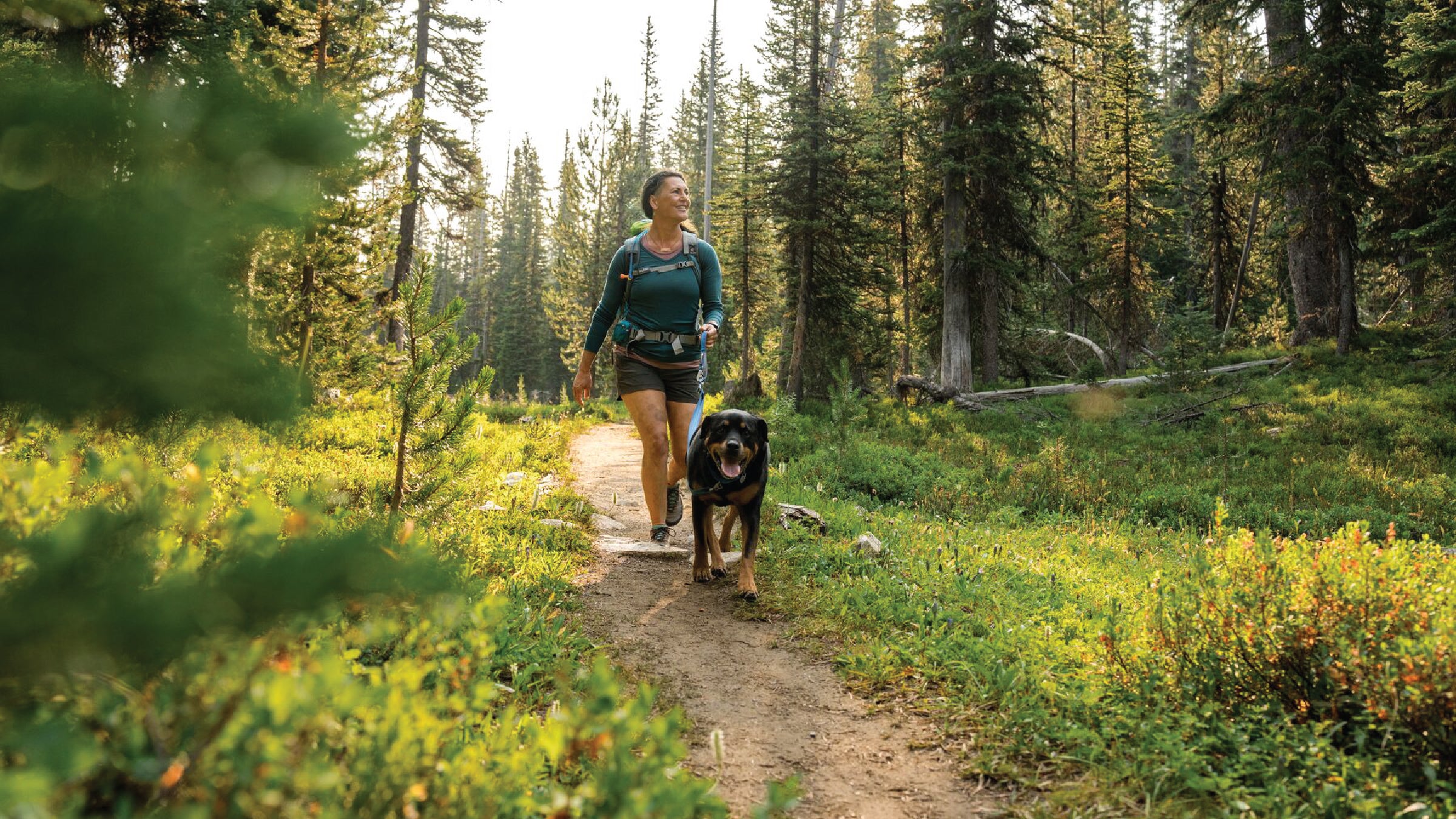 Adventure shop dog gear