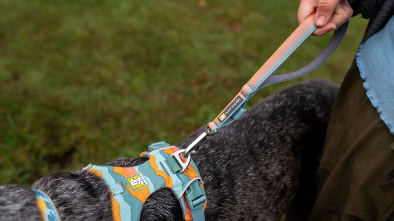 About: the Front Range™ Short Leash