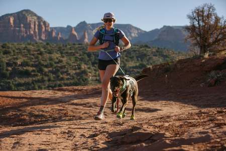 Men s ADVENTURE T Shirt adventure ready lifestyle apparel Ruffwear