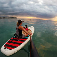 Maria and her dog sit on a SUP and look at the sunset over the ocean.