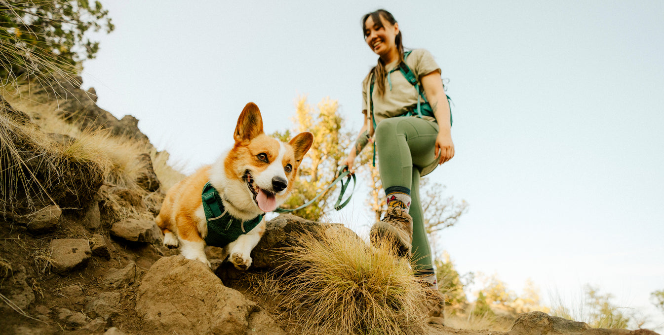 Performance Dog Gear | Ruffwear Performance Dog Gear | Ruffwear