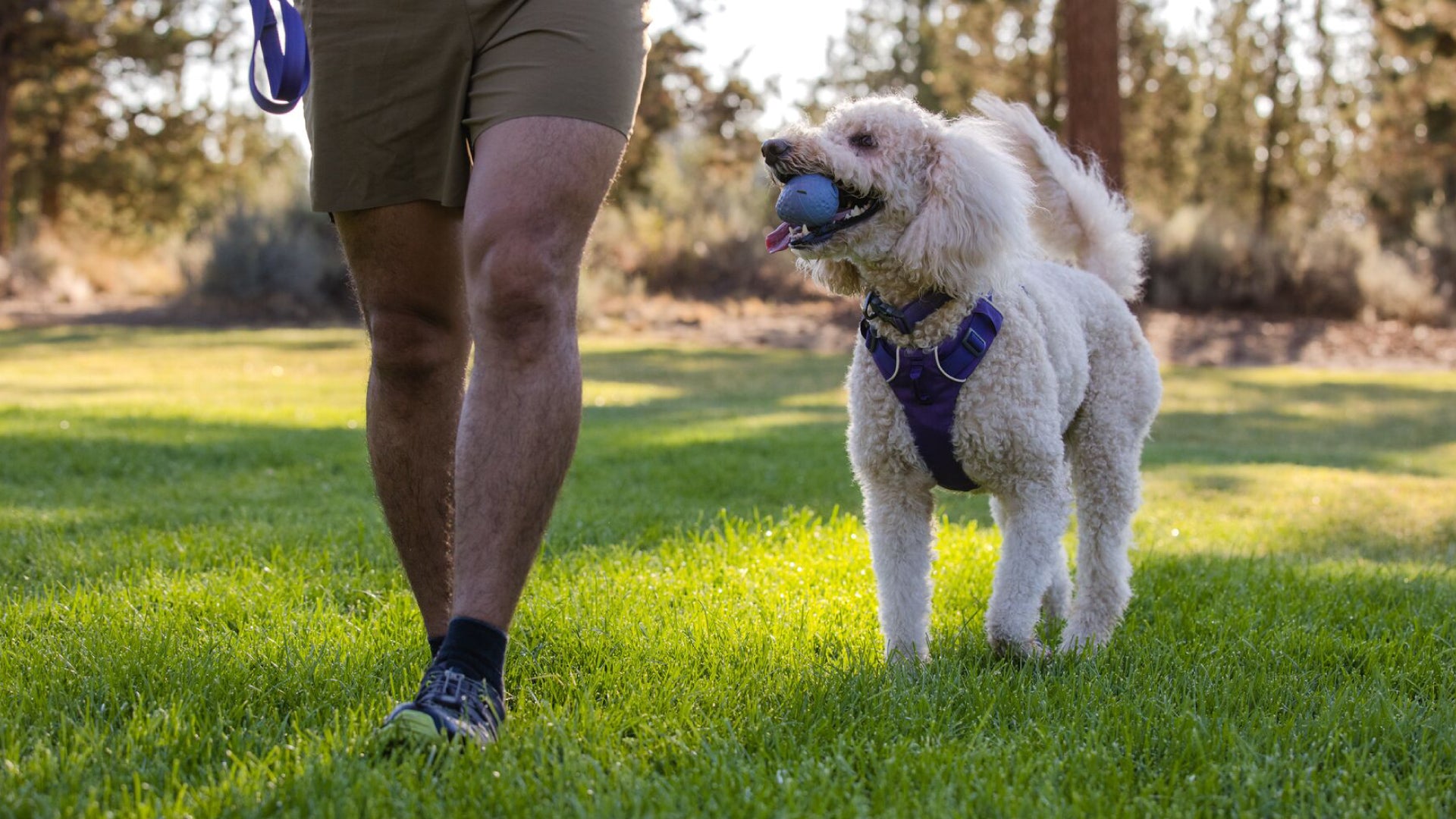 Turnup Rubber Dog Throw Toy Ruffwear