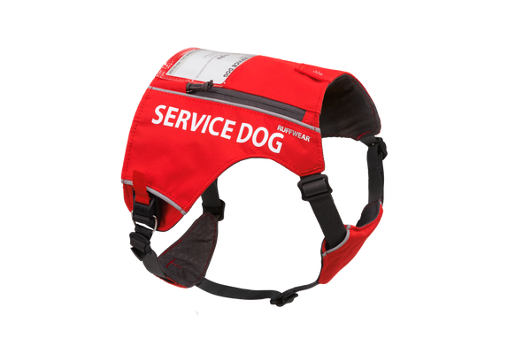 Canine service outlet vest