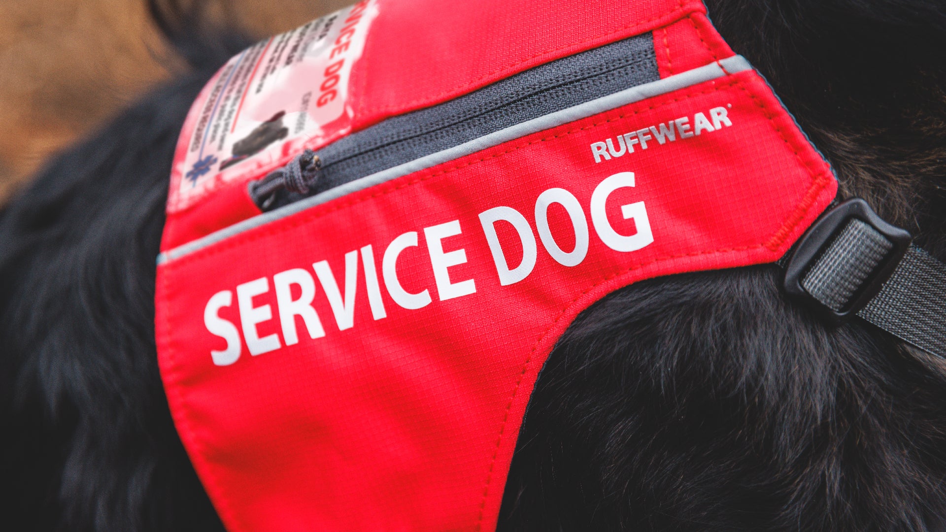 Access ID Service Dog Vest Ruffwear