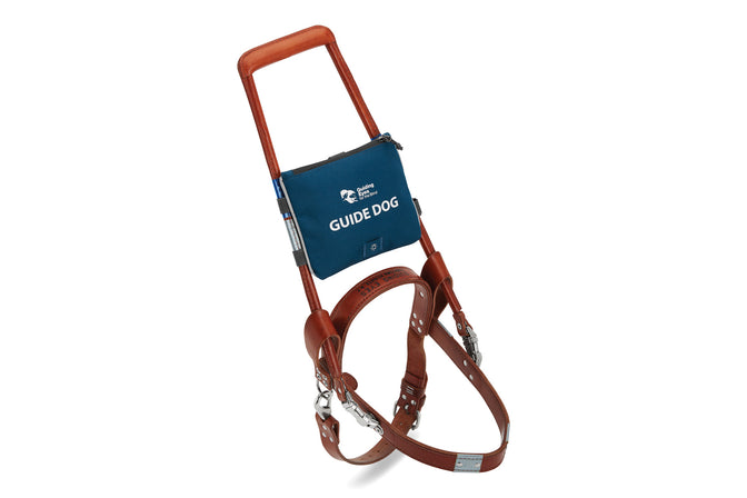 Leather guide dog harness with sign on it.