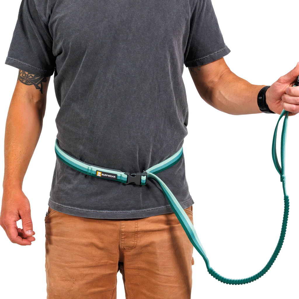Roamer Lock™ Bungee Dog Leash | Ruffwear