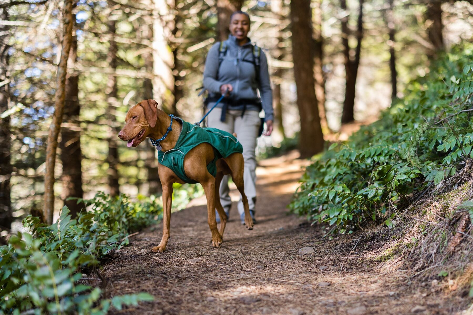 Dog on sale hiking gear