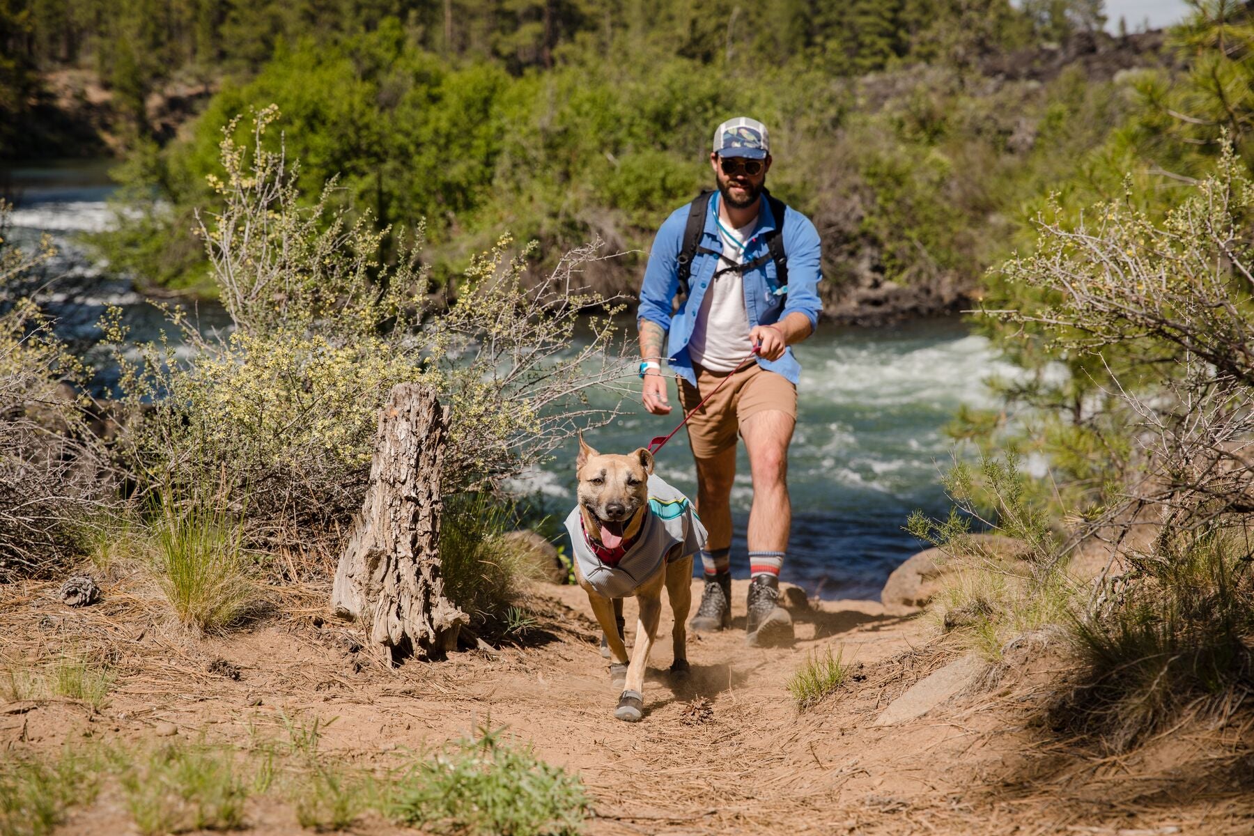 Lucky goes for a walk in the slush wearing Grip Trex™ Shoes