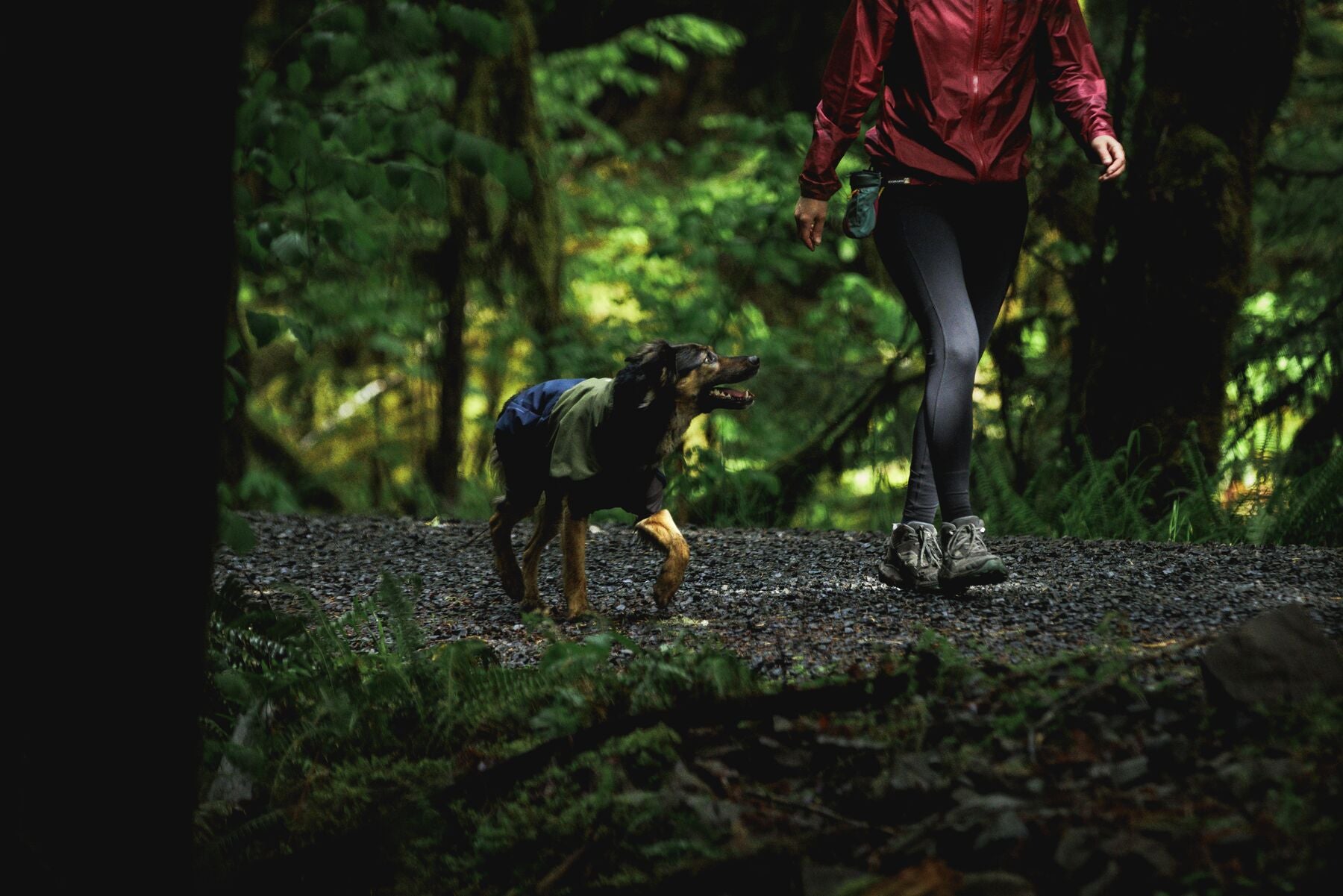 Highlands™ Dog Sleeping Bag | Ruffwear