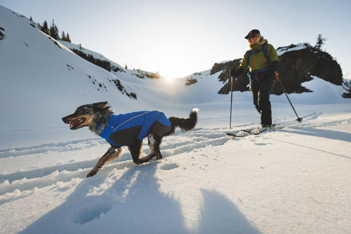 Winter Gear