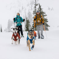 Two humans ski with dogs in vert jackets and powder hound boots.