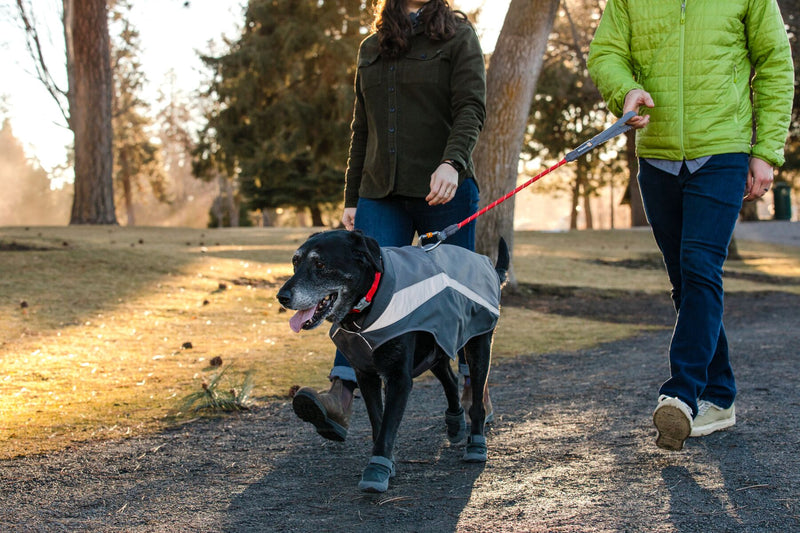 6 Tips For Breaking In Ruffwear Dog Boots