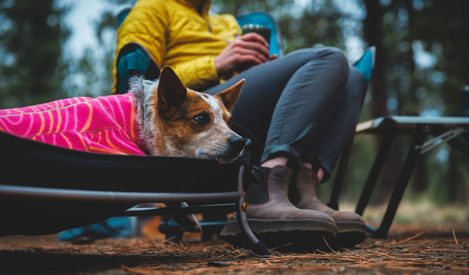Mt. EverRest™ Dog Cot Takes Your Dog’s Post-Adventure Nap Up A Notch Video Thumbnail