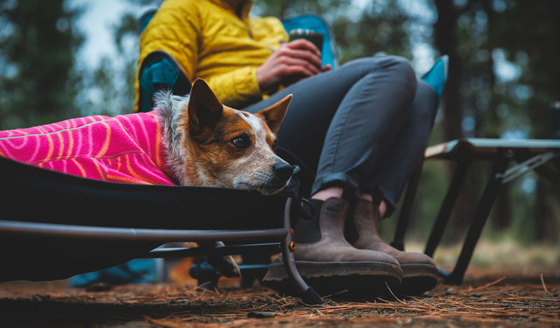 Mt. EverRest™ Dog Cot Takes Your Dog’s Post-Adventure Nap Up A Notch