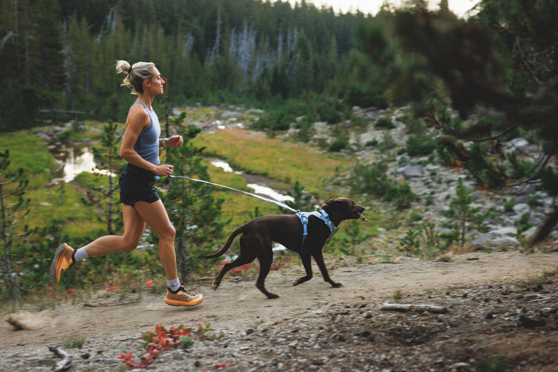 About the Front Range™ Flex Leash