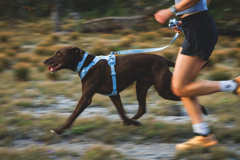 About the Front Range™ Flex Collar 