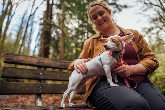 Woman with small dog in harness sits on bench by leaves.