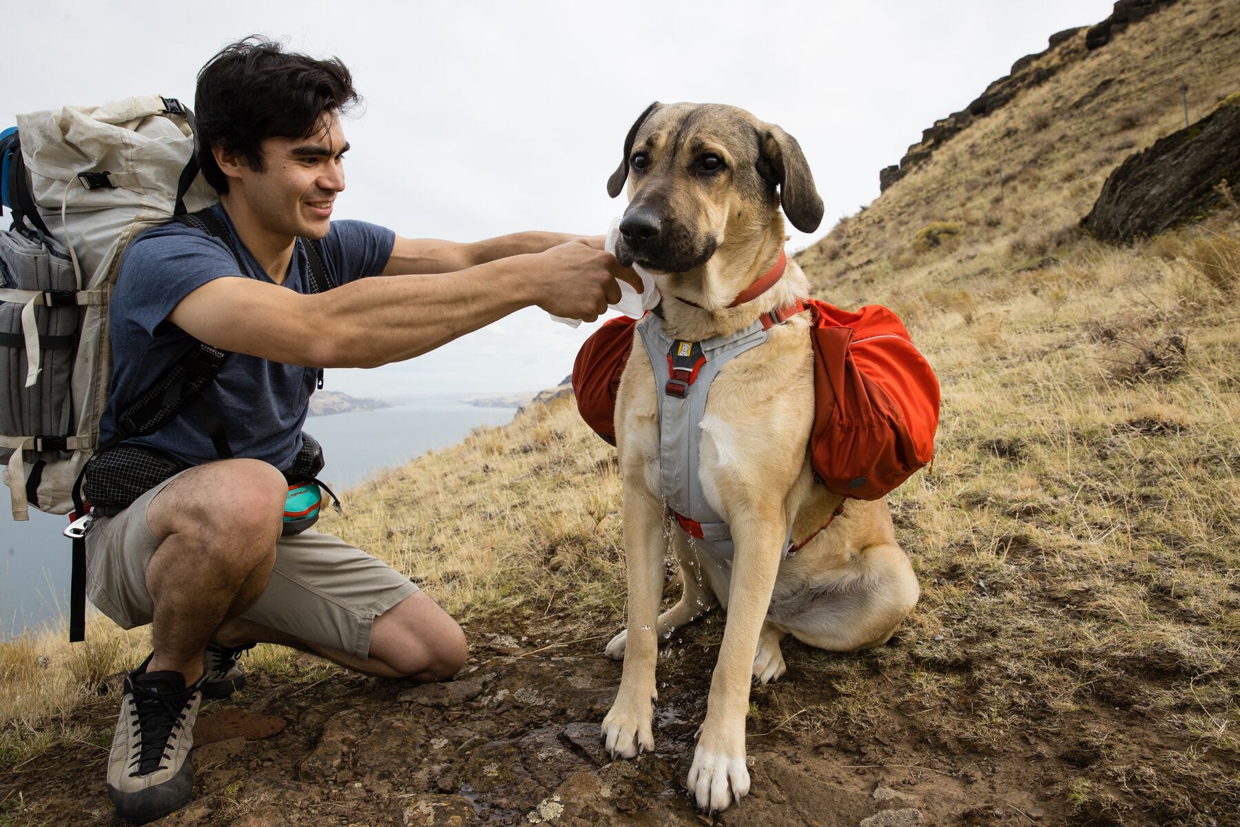 Camping with top dogs accessories