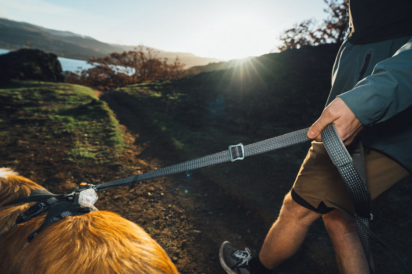 About the Ridgeline™ Leash Video Thumbnail