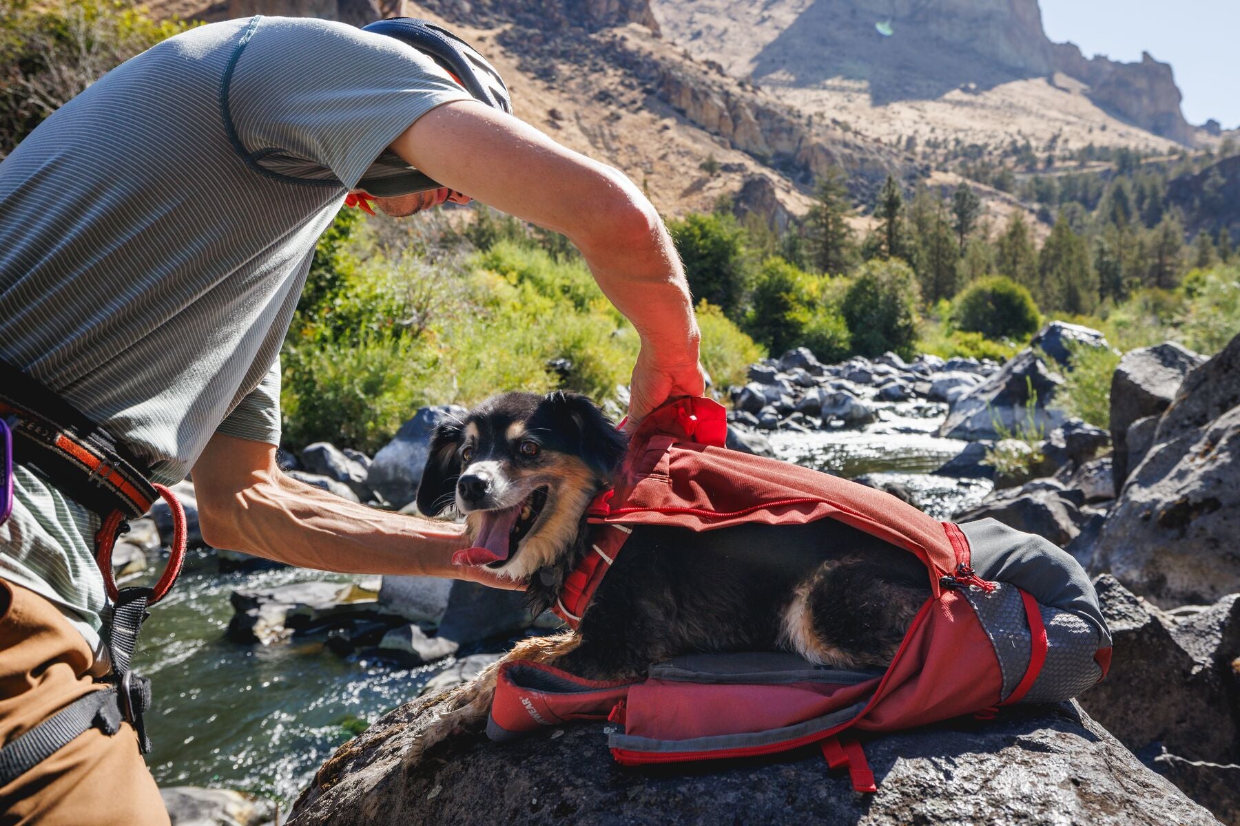 Hitch Hiker™ Dog Backpack Carrier | Ruffwear