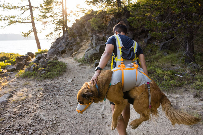 Person carries dog on back with the BackTrak Evac Kit