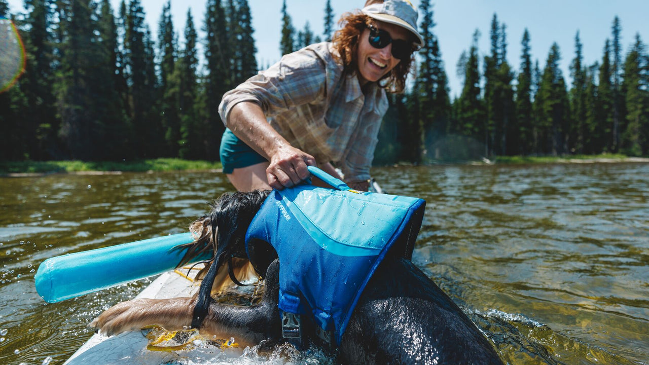 Asa para levantar al perro del agua