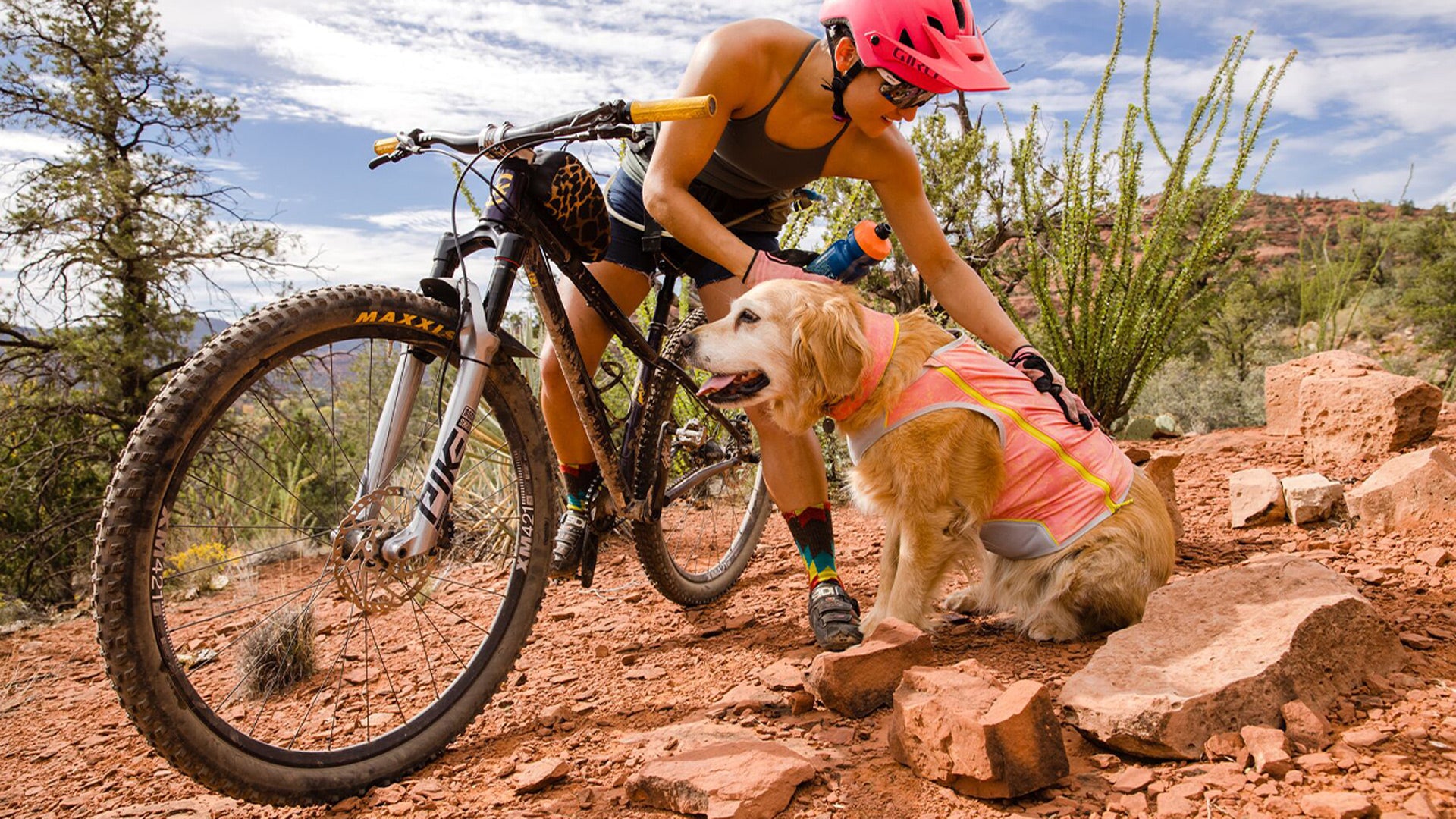 Cooling gear outlet for dogs