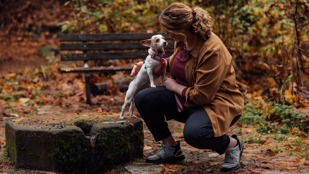 Hi & Light™ Lightweight Dog Harness | Ruffwear