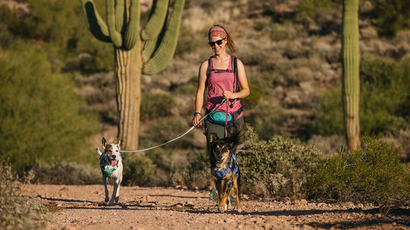 About the Hi & Light™ Leash