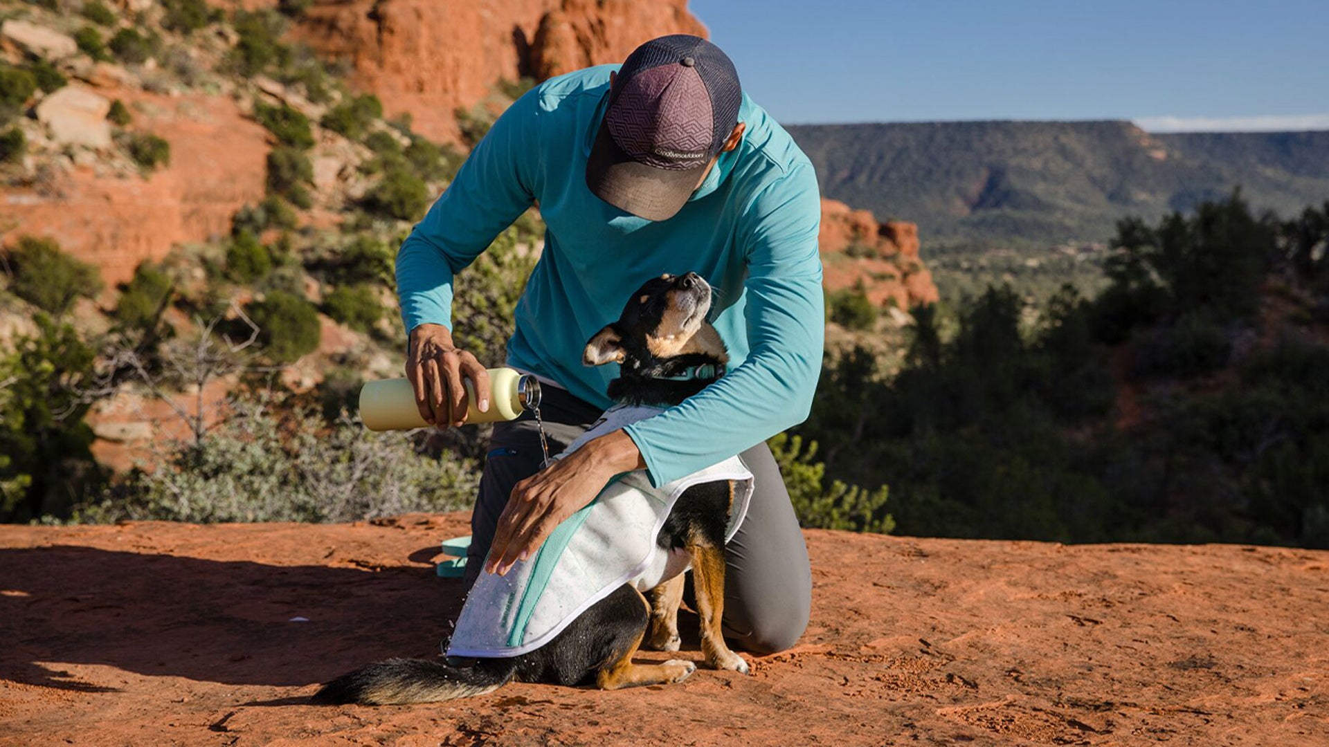 Swamp Cooler Zip Cooling Dog Vest Ruffwear