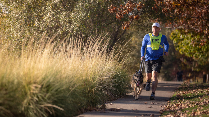 Guide Dogs Working for the Blind Community Ruffwear