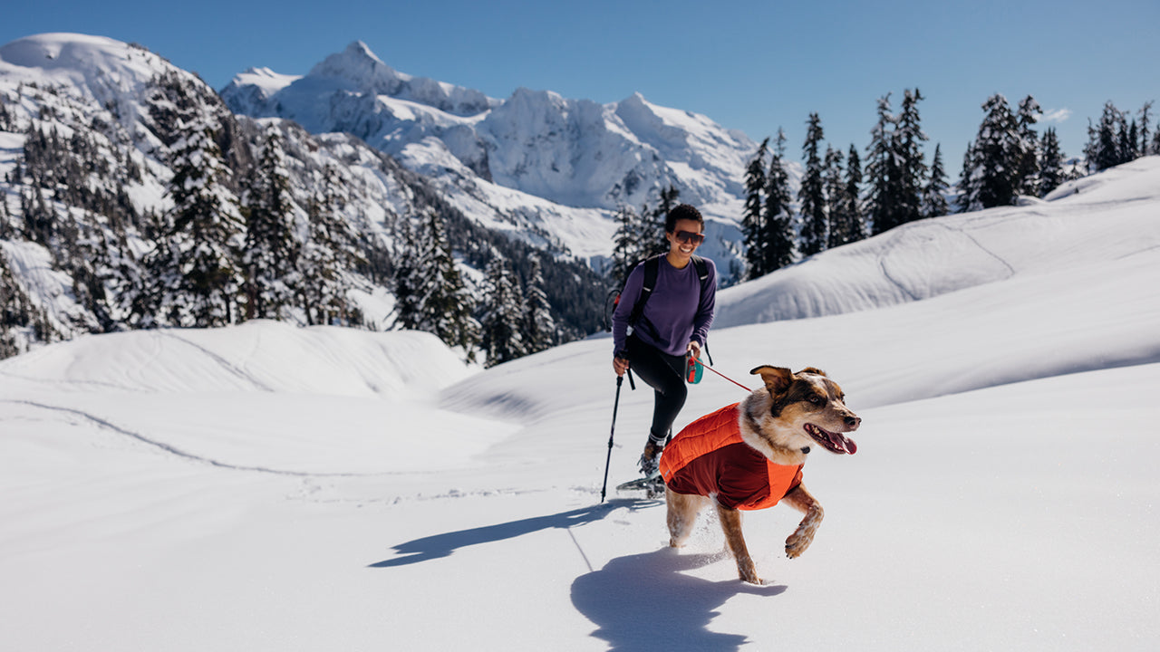 Powder Hound Winter Dog Jacket Hybrid Insulated Winter Ruffwear