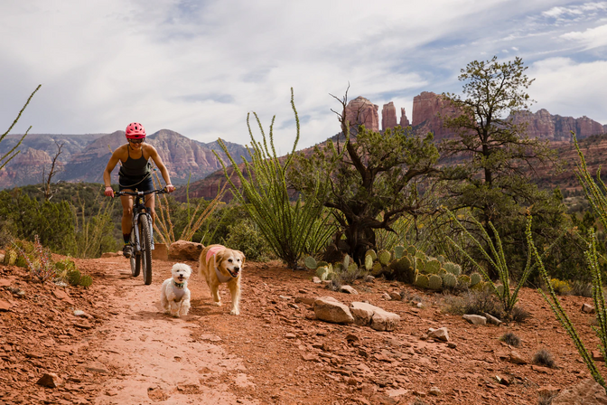 Abby rides through the Sedona desert with her two dogs running in front.
