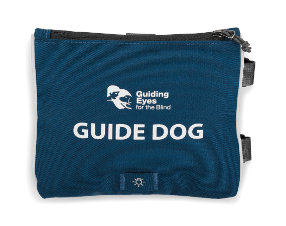 Guiding eyes for the blind store sales