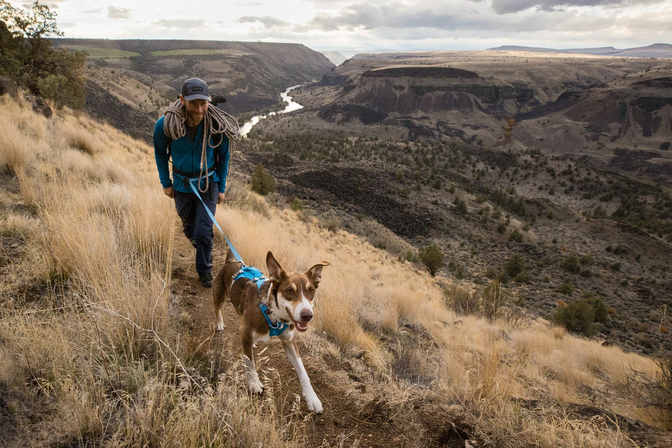 Max walks with his dog up a grassy hill to the crag.