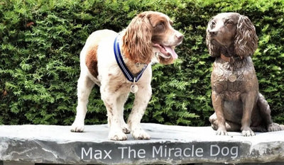 Dog Max sits next to statue of himself on bench.