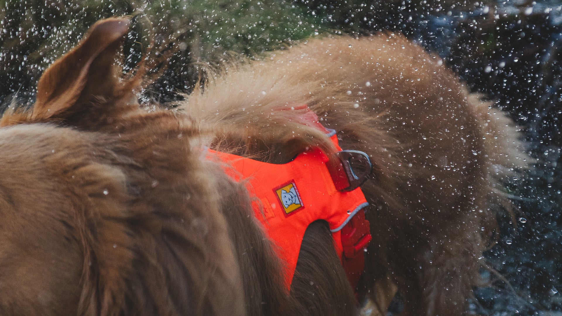 Flagline™ Dog Harness with Handle | Strong Lightweight Lift