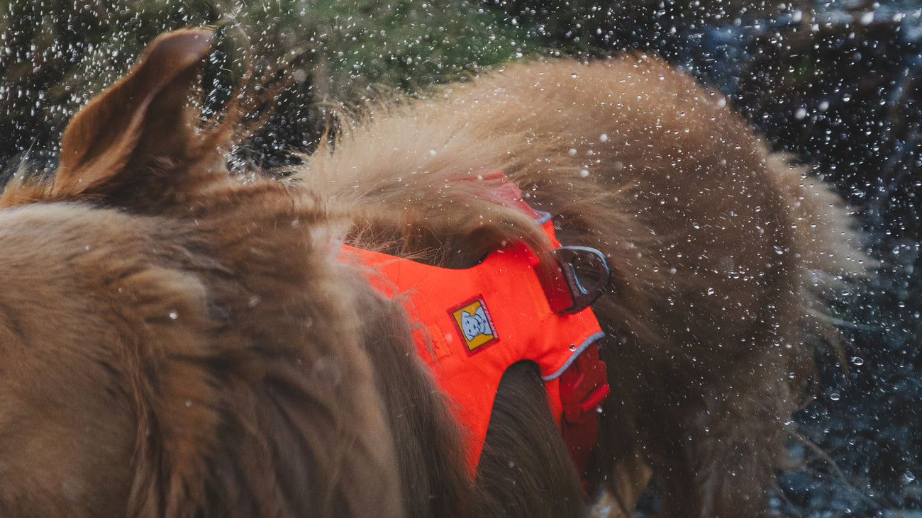 Shop RuffWorn™ Used Gear