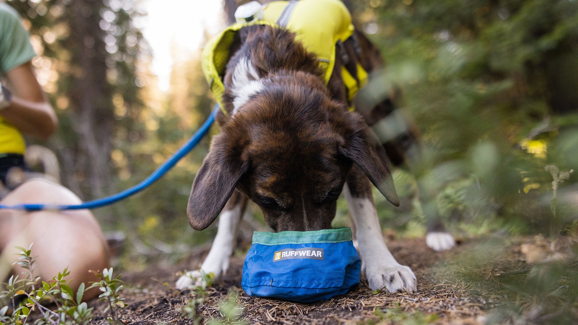 Trail Runner Ultralight Dog Bowl Ruffwear