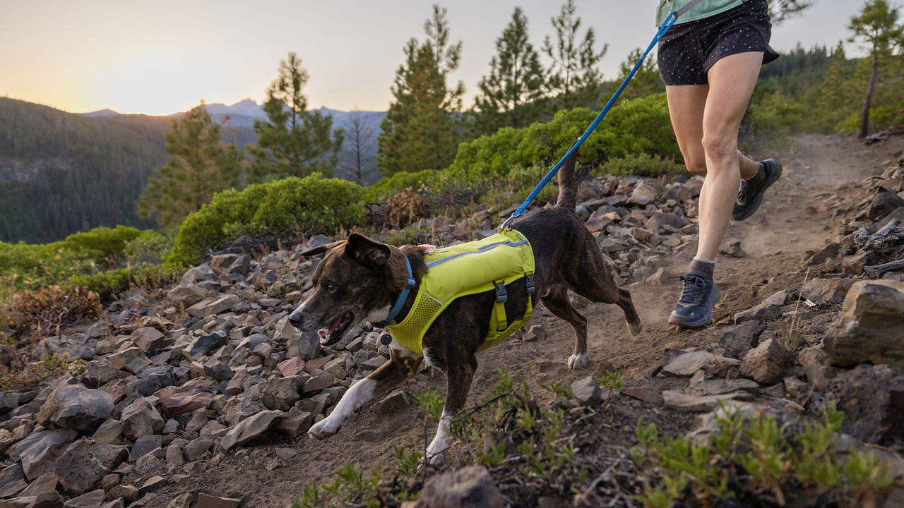 Trail Runner™ Dog Leash