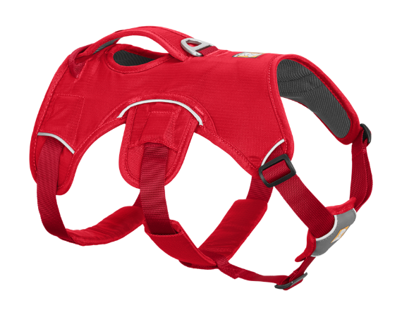 Nomad Ski Patrol Harness  Avalanche Control Dog Harness - Ray Allen  Manufacturing