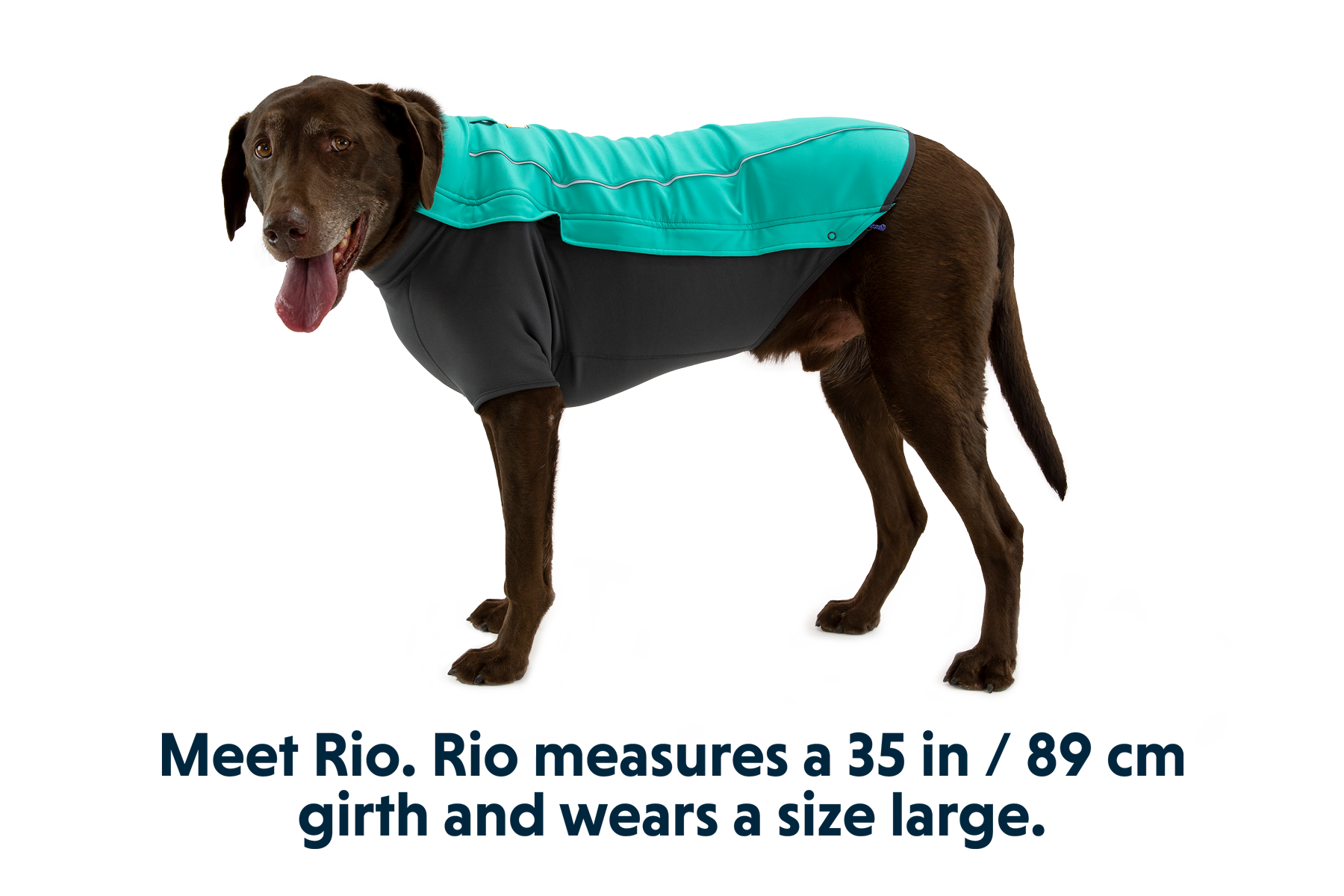 Ruffwear cloud chaser medium hot sale