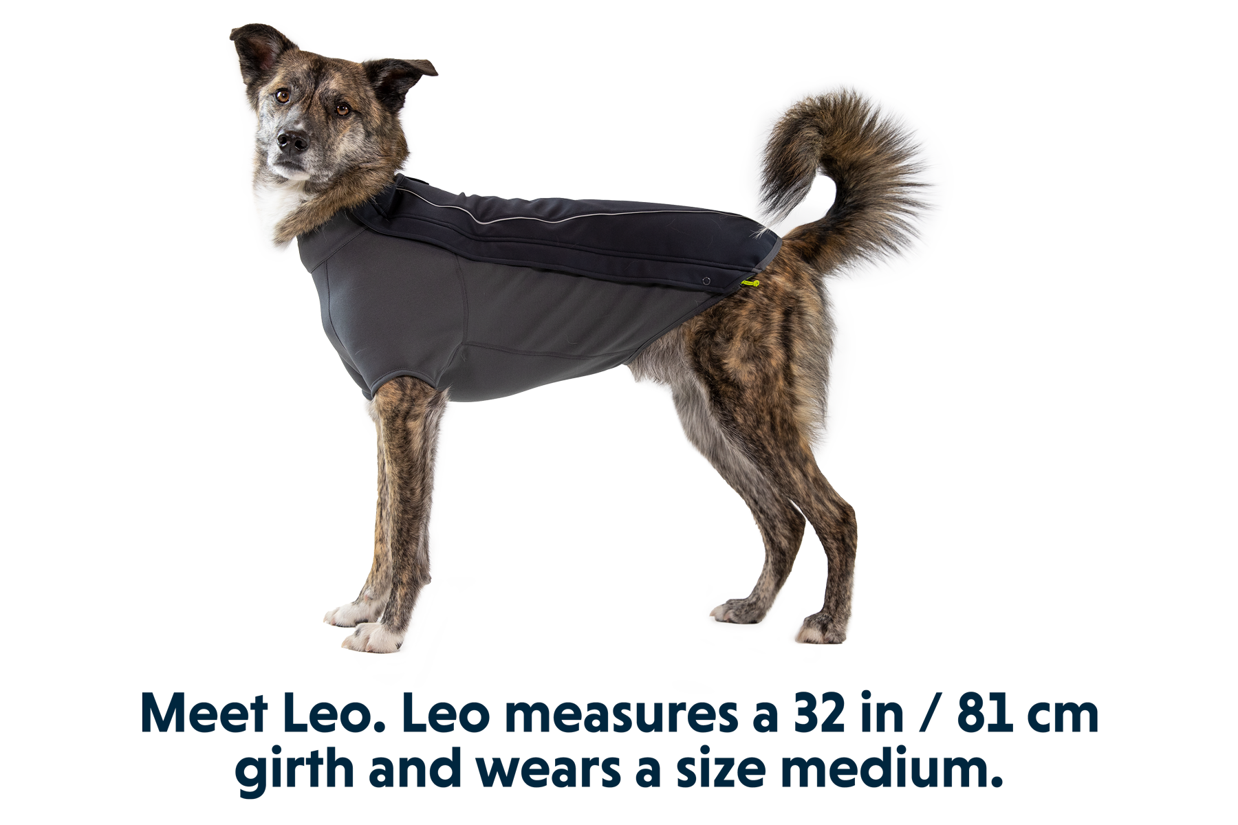 Cloud Chaser Dog Jacket Ruffwear