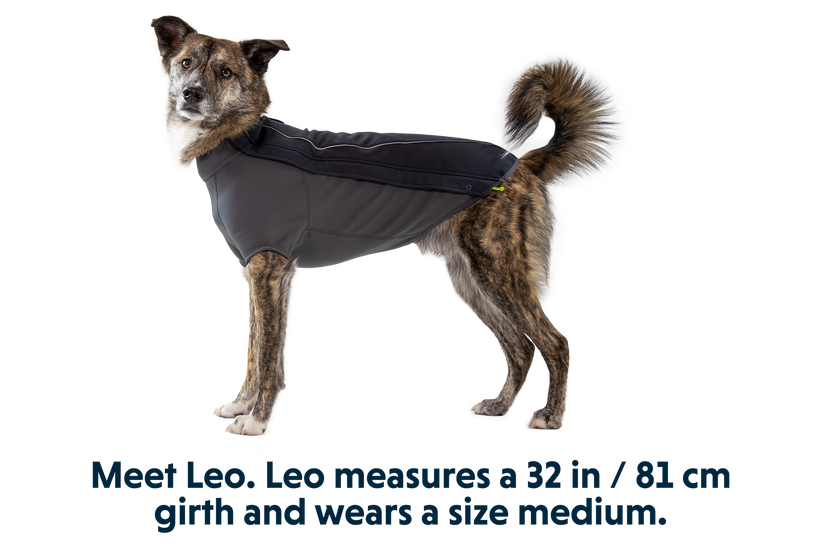 Ruffwear cloud 2025 chaser dog jacket