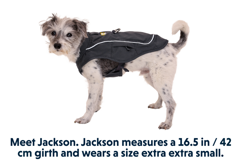 Overcoat Fuse Dog Harness Jacket Ruffwear