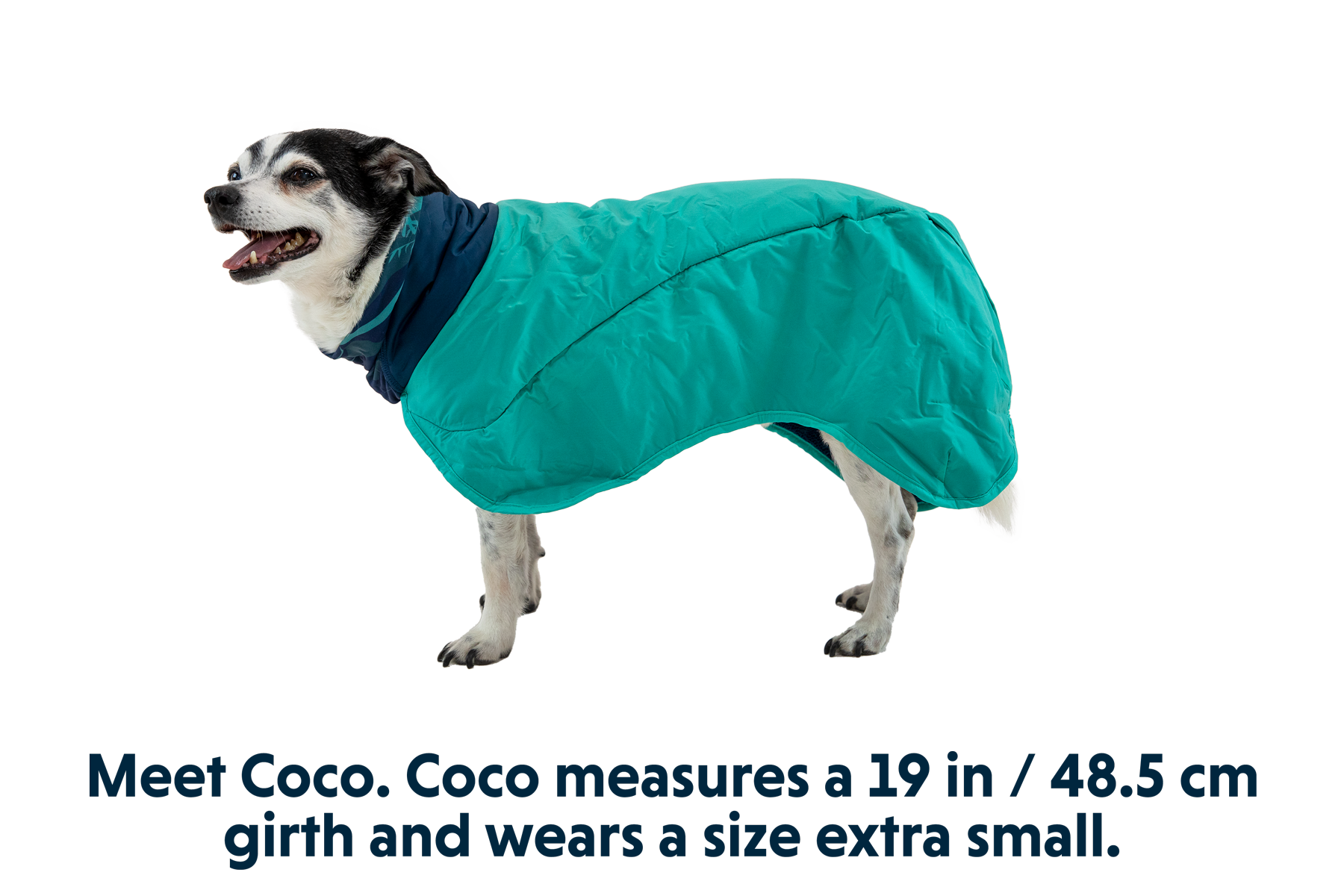 Dirtbag Dog Drying Towel Ruffwear