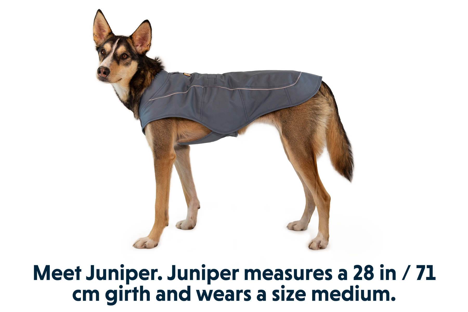 Ruffwear cloud chaser jacket new arrivals