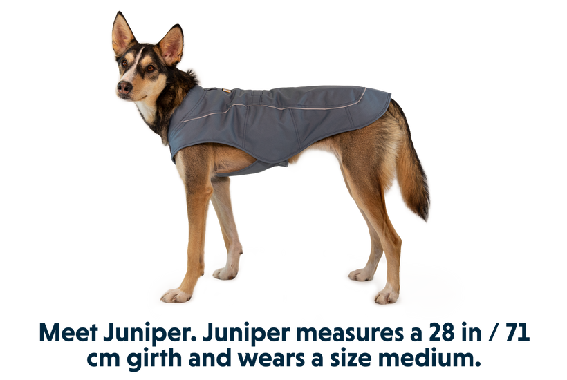 Ruffwear hot sale coat sale