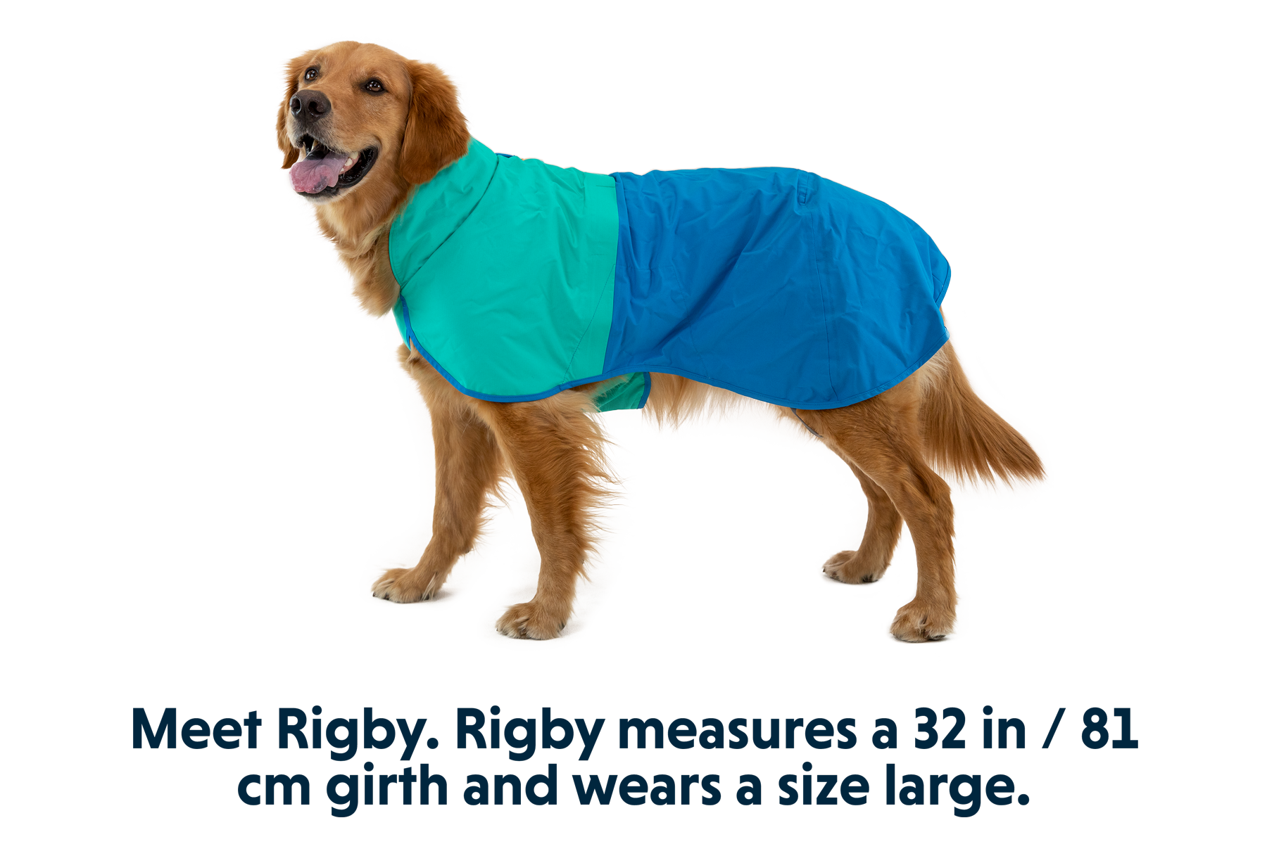 Dog coats for rain online